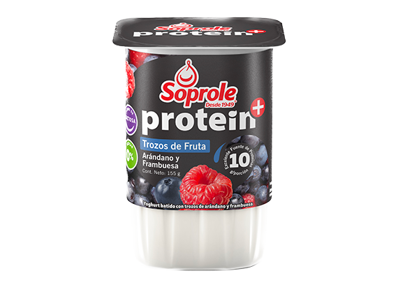 Yoghurt Protein+ Trozos Arandanos 155g